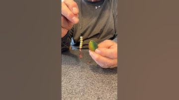 Worm harnesses for #walleye #fishing how to build them #lakeerie #walleyefishing