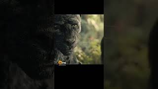 Met Mowgli First Time Best Whatsapp Status