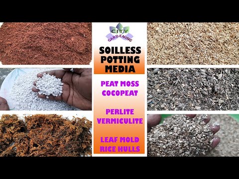 Top 6 soil less potting/growing  media