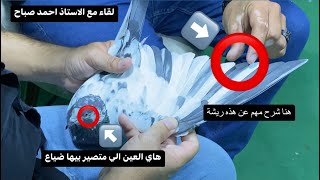 برنامج الكنز ضيف الحلقة الاولى مع( الاستاذ احمد صباح )