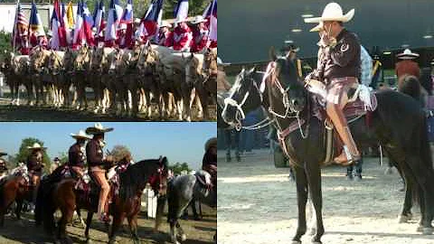 Equestfest 2011 at LAEC by Loretta Weeks
