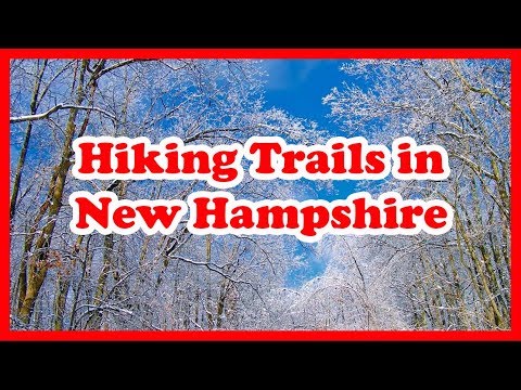 5 Top-Rated Hiking Trails in New Hampshire | US Hike Guide