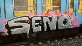 Seno gon