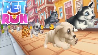 PET RUN - PUPPY DOG GAME | DAY 2 screenshot 5