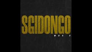 Sgija X Sgidongo AMAPIANO MIX 2025 | Wav 2 | 100%JayBMusiQProduction