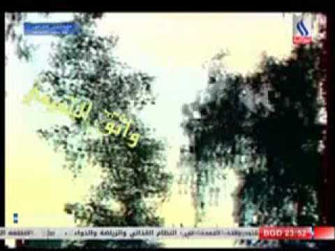 سيناء من فركاك فيديو نادر وحصري