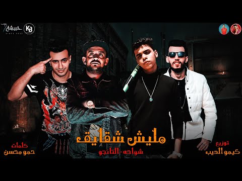 مهرجان مليش شقايق شواحه ابو كمال حمو ال توزيع كيمو الديب مهرجانات 