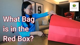 Unboxing:  Luxury Bag •  Red Box • @carolinaherrera Andy 7 Locked Review • @WhenLiam Unboxes!