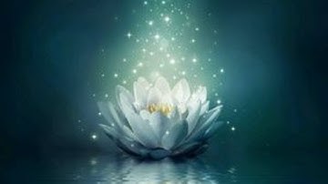 15 Min. Meditation To Create "Positive Energy Field" l Remove Negative Vibes l Cleansing & Healing