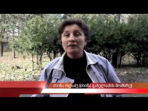 ბინძური ბრძოლა ,,ტატამზე\"