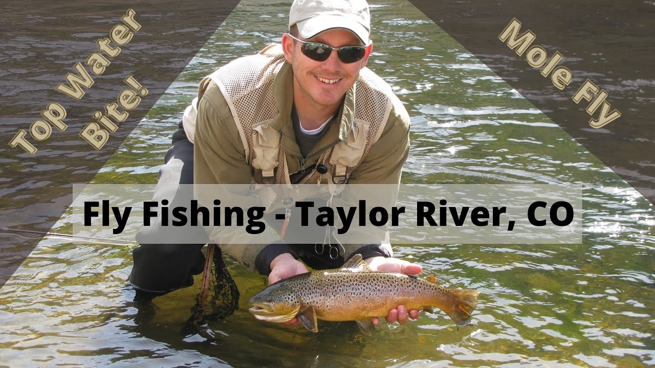Fly Fishing Taylor River Almont, Colorado See the RISE YouTube