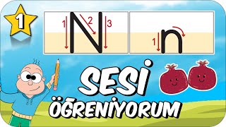 N-N Sesini Öğrenelim Alfabeyi Öğreniyorum