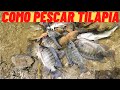 Como Pescar tilapia, TUTORIAL DE PESCA DE TILAPIA !