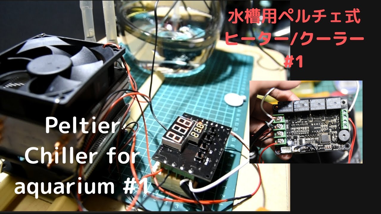 Diy Peltier Chiller For Aquarium 1 Youtube