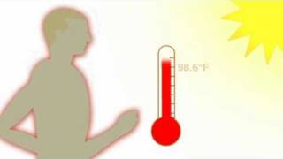 Central US braces for extreme weather - Weather - msnbc.com.flv
