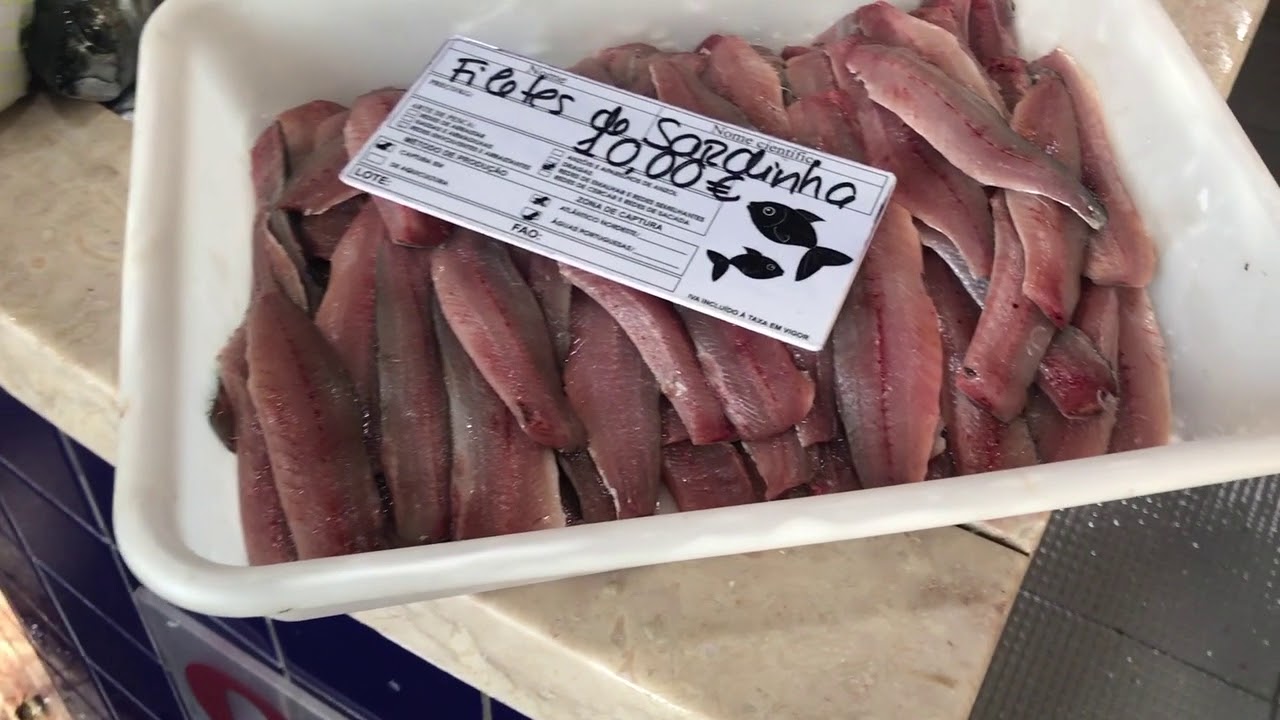 Early Morning Lagos Fresh Fish market Tour