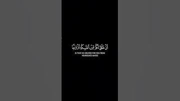 الشيخ ياسر الدوسري 😍 #اكسبلور #تلاوة_خاشعة #لايك #حالات_واتس #ترند