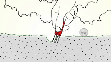 Golf Divot Tool Animation