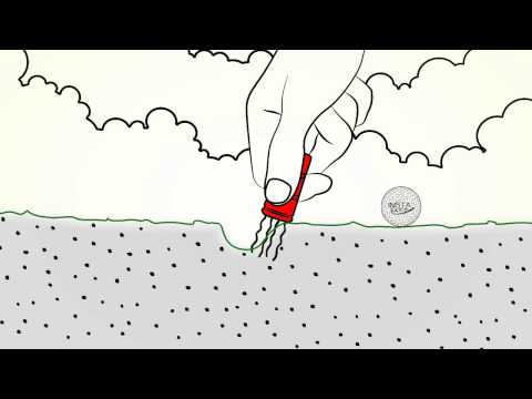 golf-divot-tool-animation