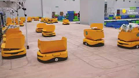 Libiao robot work in cold storage