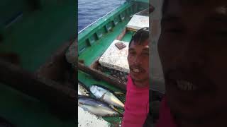 Ganito ka fresh mga huli naming tuna #viralvideo #freshtuna #youtubeshorts #handfish #handline