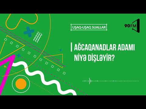 Video: Ağcaqanadlar Niyə Dişləyir?