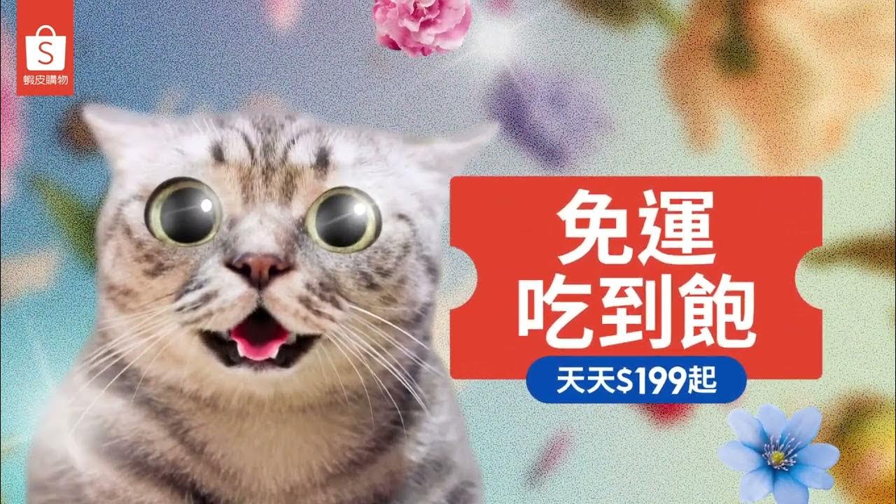 [問卦] 台灣飯店是在懲罰遊客嗎？？？