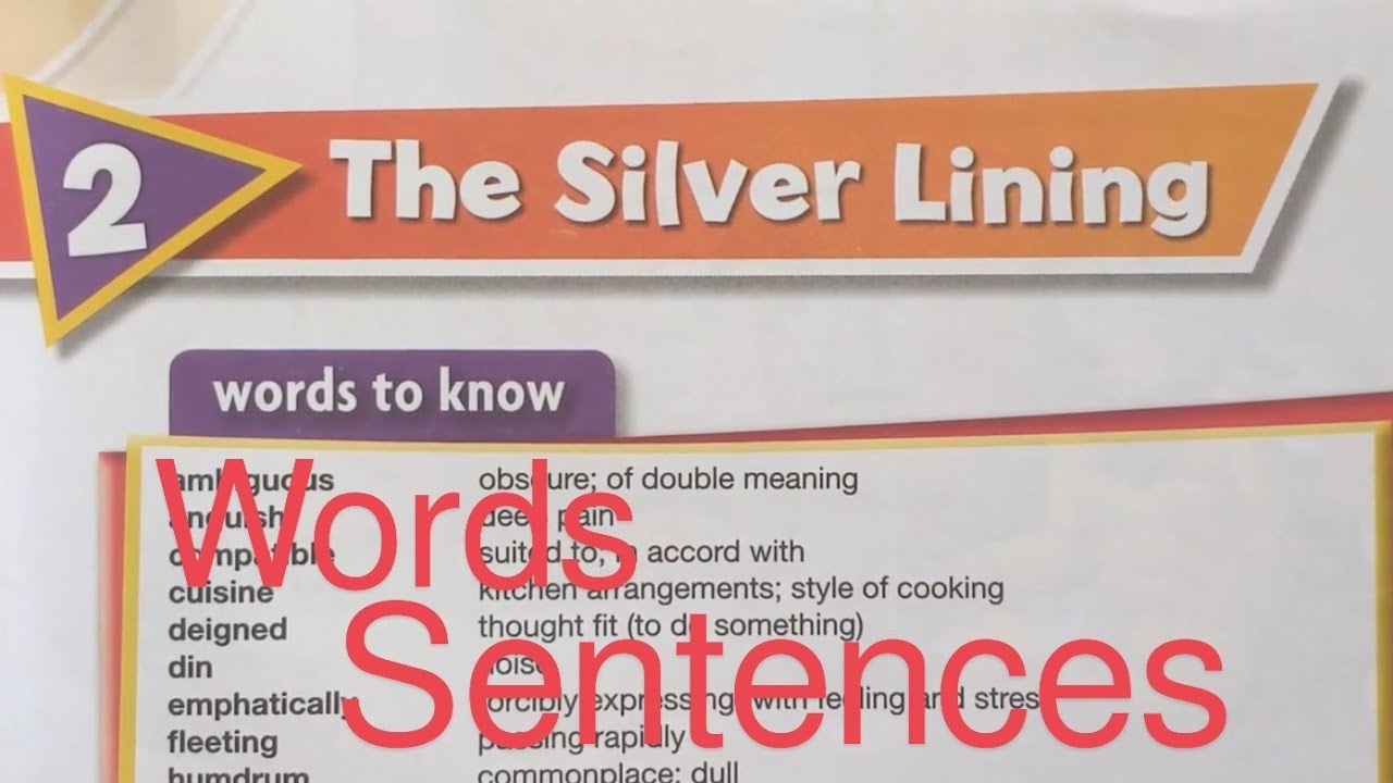 New Oxford Modern English Book 8 Chapter 2 The Silver Lining ExB Q1