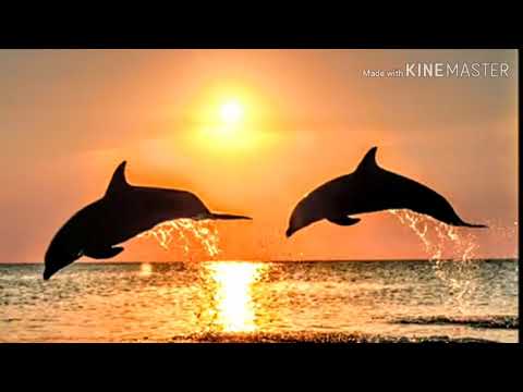 اذان المغرب لمحمود عصفور اسمع بقلبك