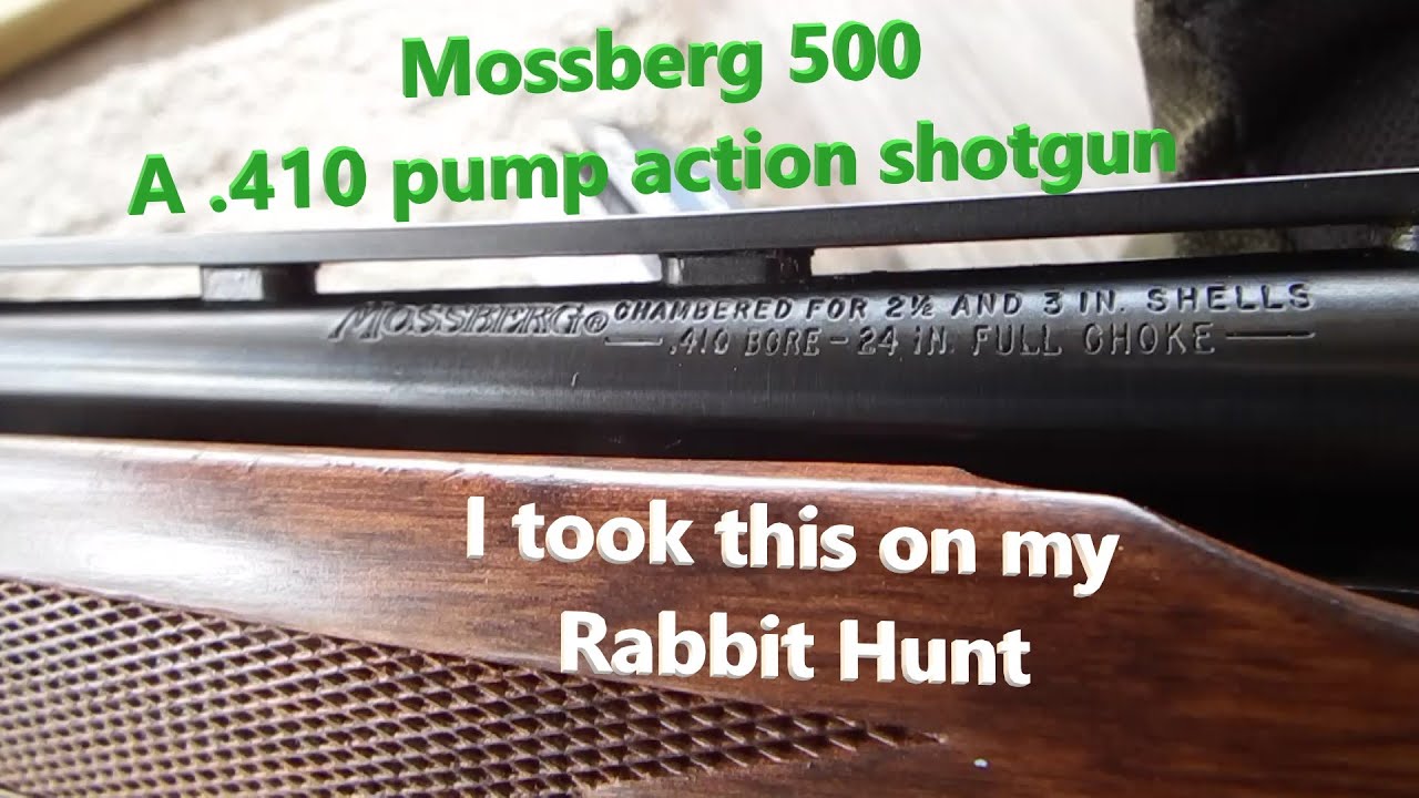 Mossberg 410 and a Rabbit Hunt - YouTube