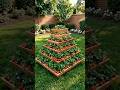 Double Your Strawberry Harvest With This Setup 🍓 #verticalgarden #gardeningtips #diy