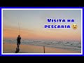 Pescaria de papa terras grandes com visita inesperada na beira da praia.