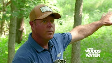 Picking the Right Location for a Trail Camera - 2022 Deer Season Prep