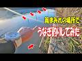 うなぎ筒があると言う事は！そこにうなぎがウヨウヨいるの？【うなぎ釣り】