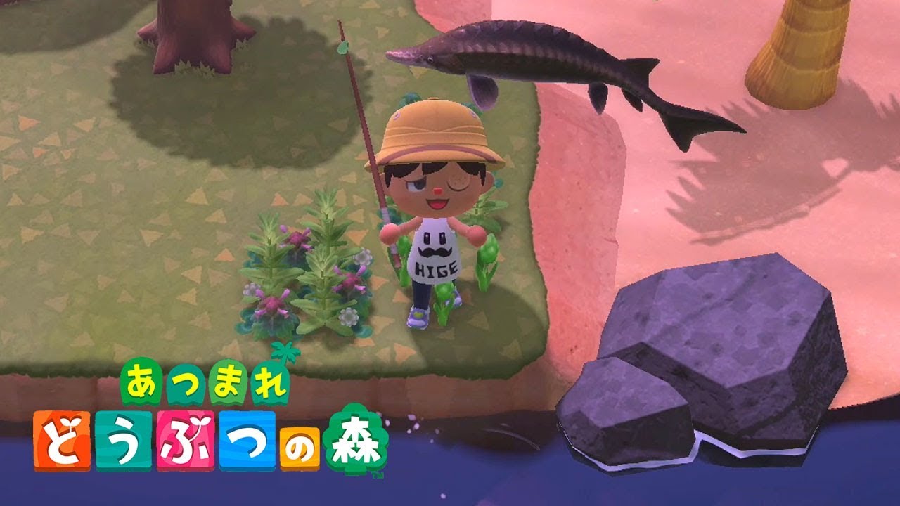 4 [ACNH] Catching Rare Fish on a Deserted Island Tour! [Animal