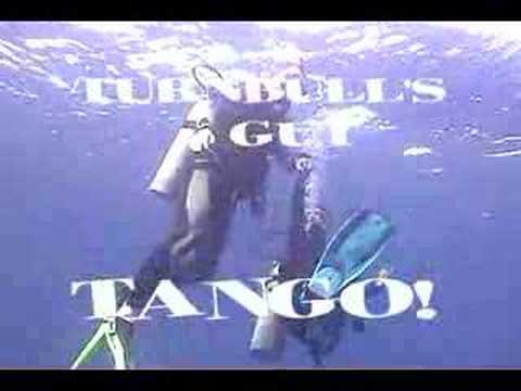 Turnbull's Gut Tango