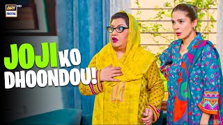 Joji Ko Dhoondou Bulbulay Season 2 Momo Ayesha Omar Comedy Drama