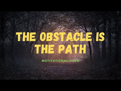 The Obstacle is