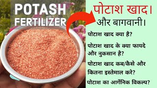 Potash Fertilizer क्या है, Potash कब कितना और कैसे इस्तेमाल करे अपने पौधों पर, Potash खाद के फायदे।