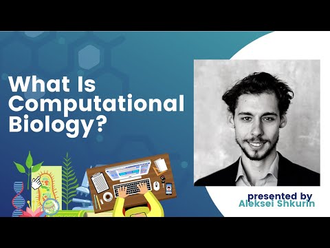What Is Computational