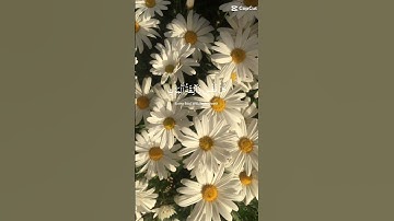 قرآن الكريم🌺❤#قرآن#سوره_البقره#سوره_الفاتحه#سورة_الكهف #سورة_الواقعة