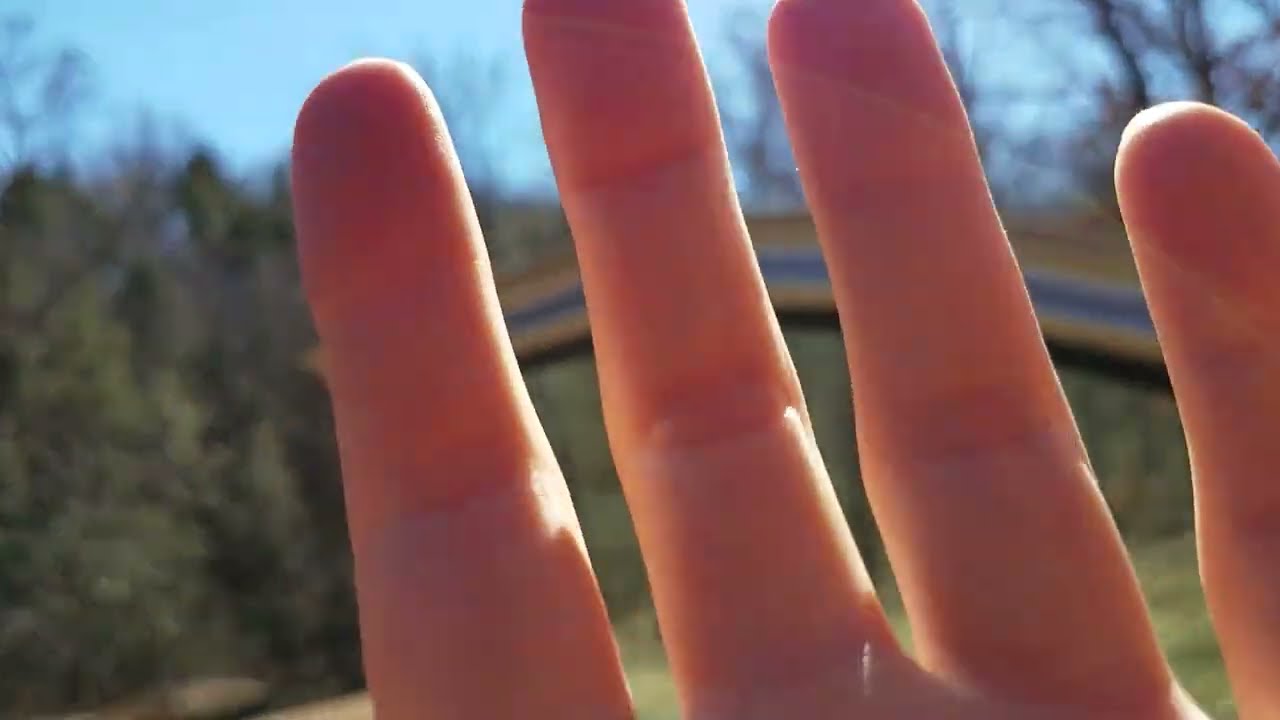 Tappings Outside In The Car In The Sun With A Floofy Cat