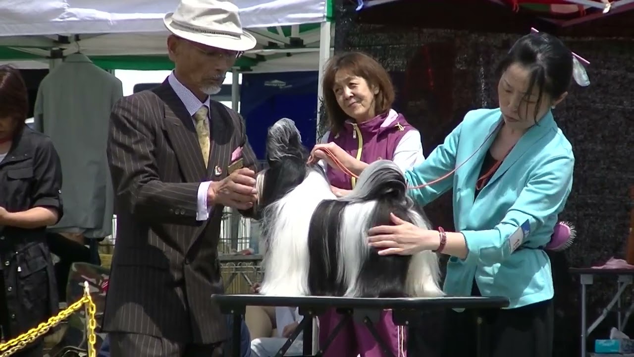 2015SORAブリード戦①