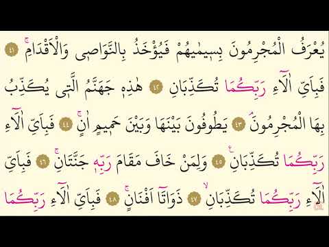 55 Surah Ar Rahman Maher Al Muaiqly Arabic Translation HD