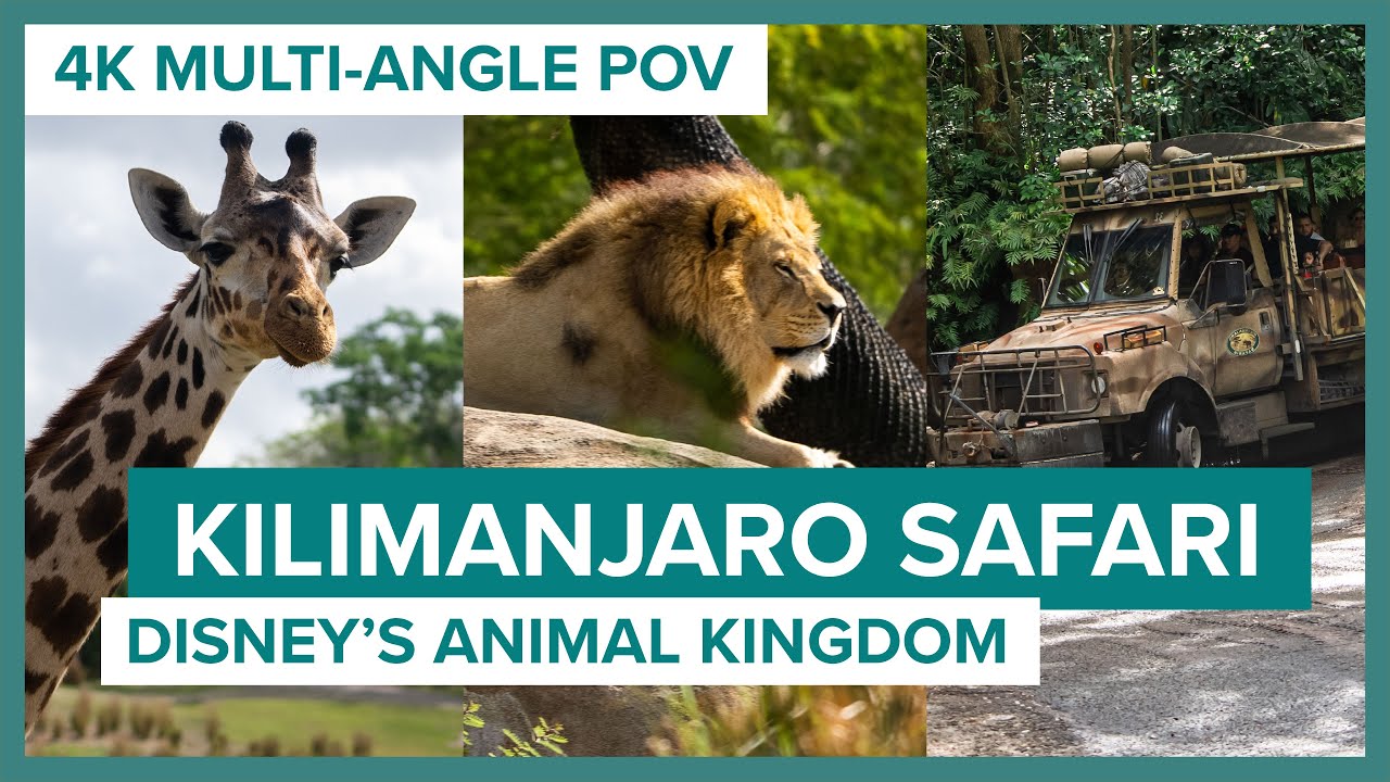 Avtobusda sikish Gozal eshak jinsiy aloqa