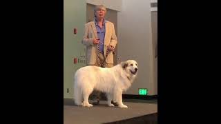 UCSB Summer and Tommy Nov 2022 (video)