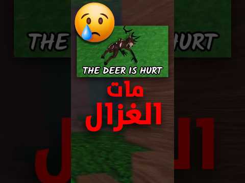 الغزال مات 99 ليله بالغبة 