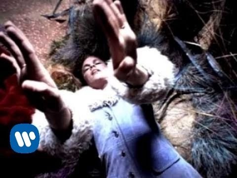 Seven Day Diary — Seven Day Diary - Starfish (Video)