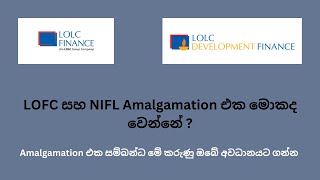 LOLC FINANCE PLC | LOFC සහ NIFL Amalgamation එක මොකද වෙන්නේ  csesinhala cse investment