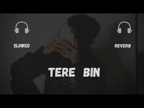 Kya Hoti Hai Bewafai Slowed Reverb Tere Bin Slowed Ost Wahajali Yumnazaidi GEOTV Kya Hoti Hai Bewafai Slowed Reverb Tere Bin Slowed Ost Wahajali Yumnazaidi GEOTV